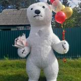Поздравление от белого танцующего медведя в Гомеле